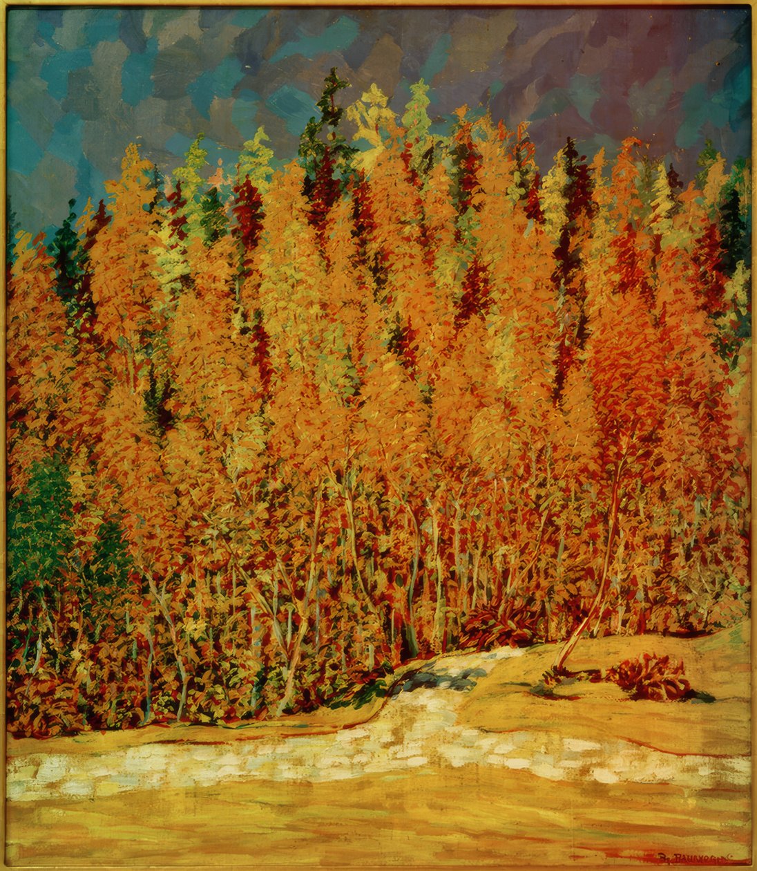 floresta do outono de Philipp Bauknecht