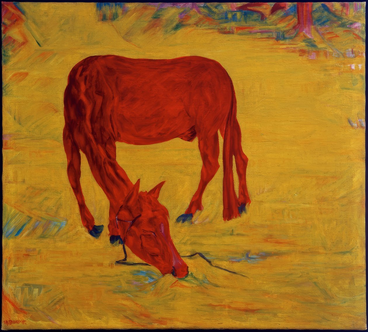 Cavalo em liberdade de Philipp Bauknecht