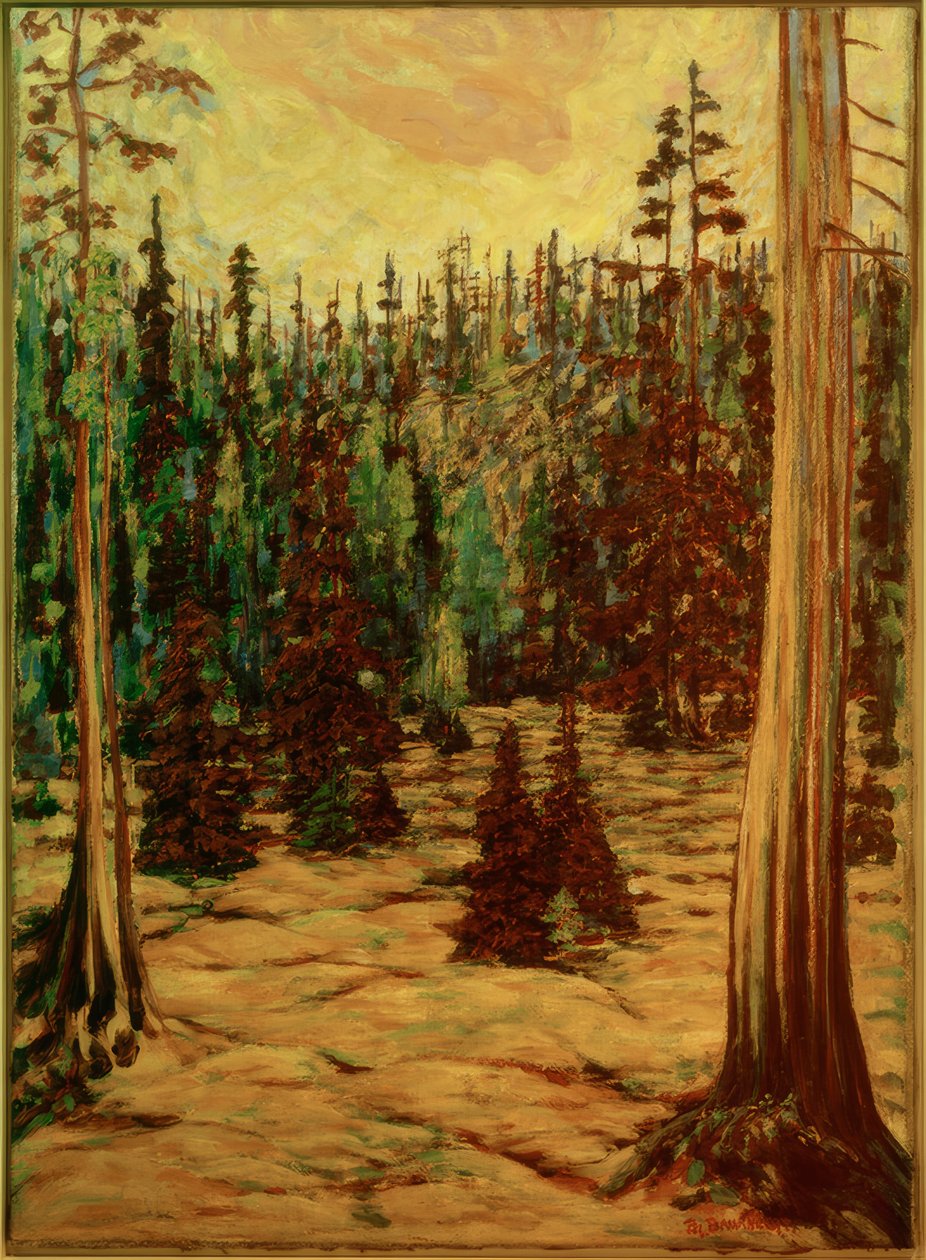 Sommerwald de Philipp Bauknecht