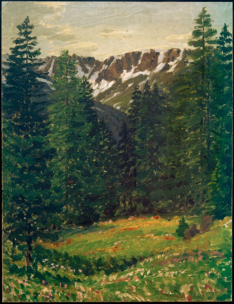 Paisagem da floresta, (paisagem) de Philipp Bauknecht