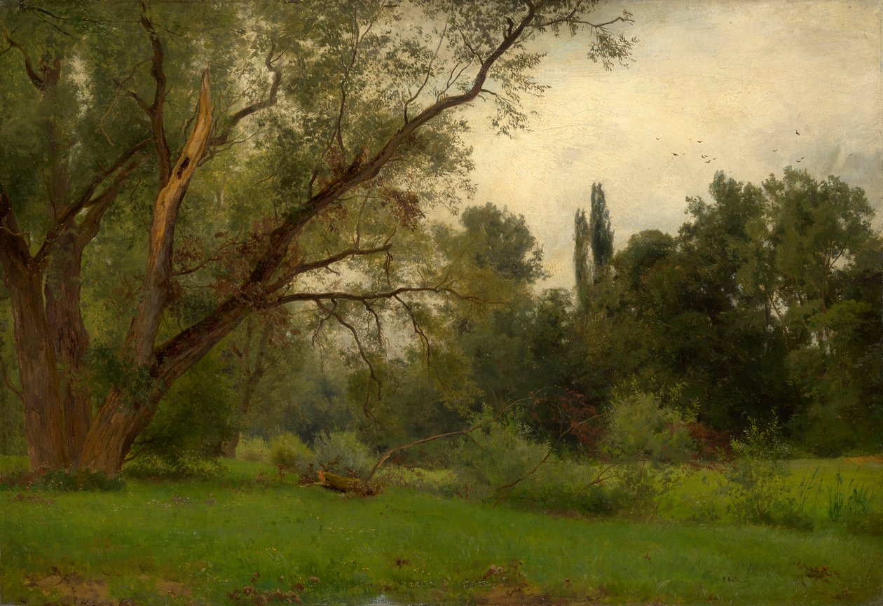 No parque de Kleinheubach am Main de Philipp Röth