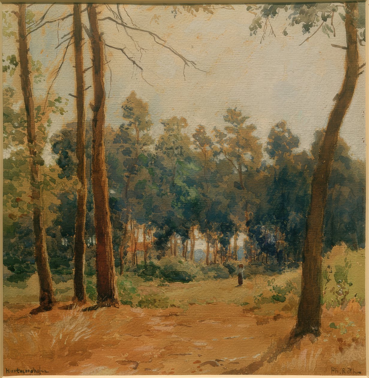 Paisagem florestal perto de Hartmannshofen de Philipp Röth