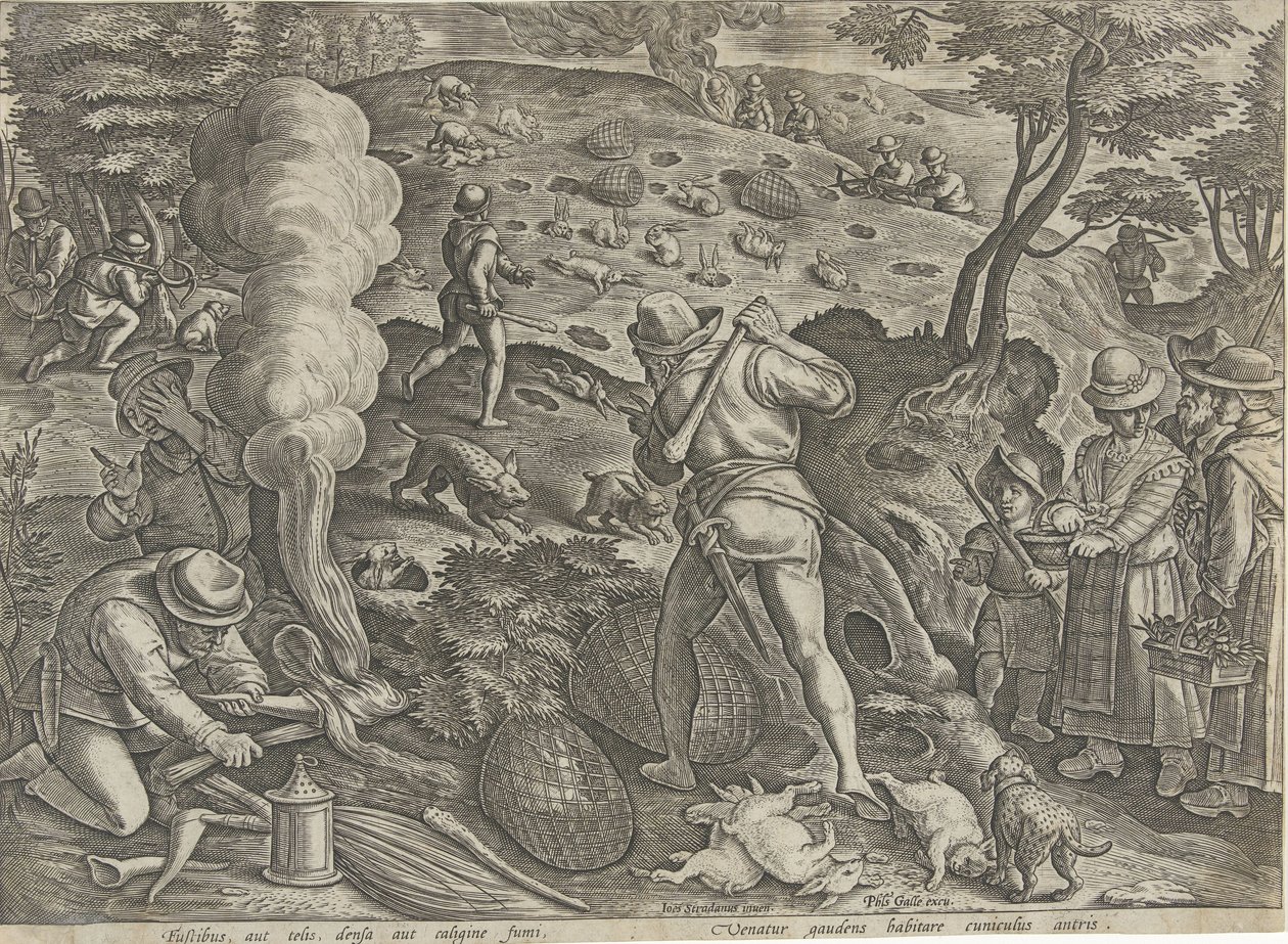 Caça ao coelho
Cenas de caça (título da série)
Em quibus omne genus venationis, aucupij, piscatusque (título da série) de Philips Galle (possibly)