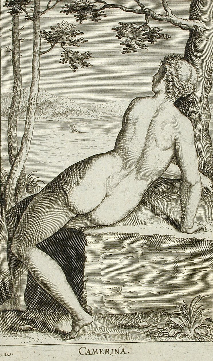 Camerina de Philips Galle