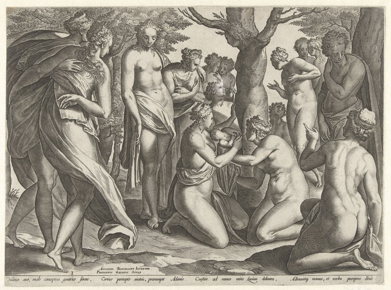 Nascimento de Adônis A História de Adonis (título da série) de Philips Galle