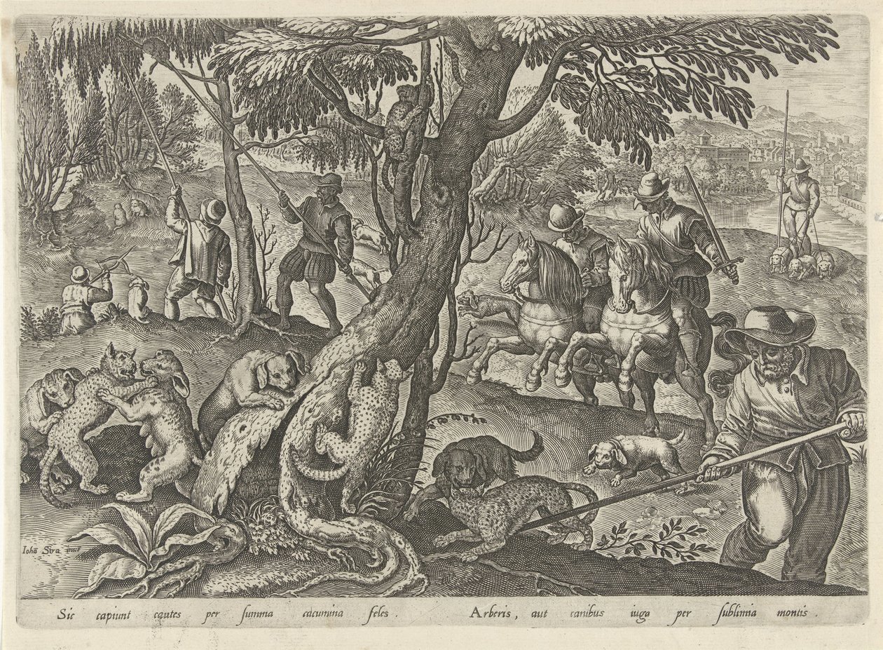 Jacht op wilde katten Jachttaferelen (título da série) Em que todo tipo de caça, caça e pesca (título da série) de Philips Galle