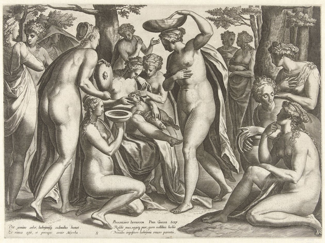 Elevação de Adónis
A história de Adónis (título da série) de Philips Galle