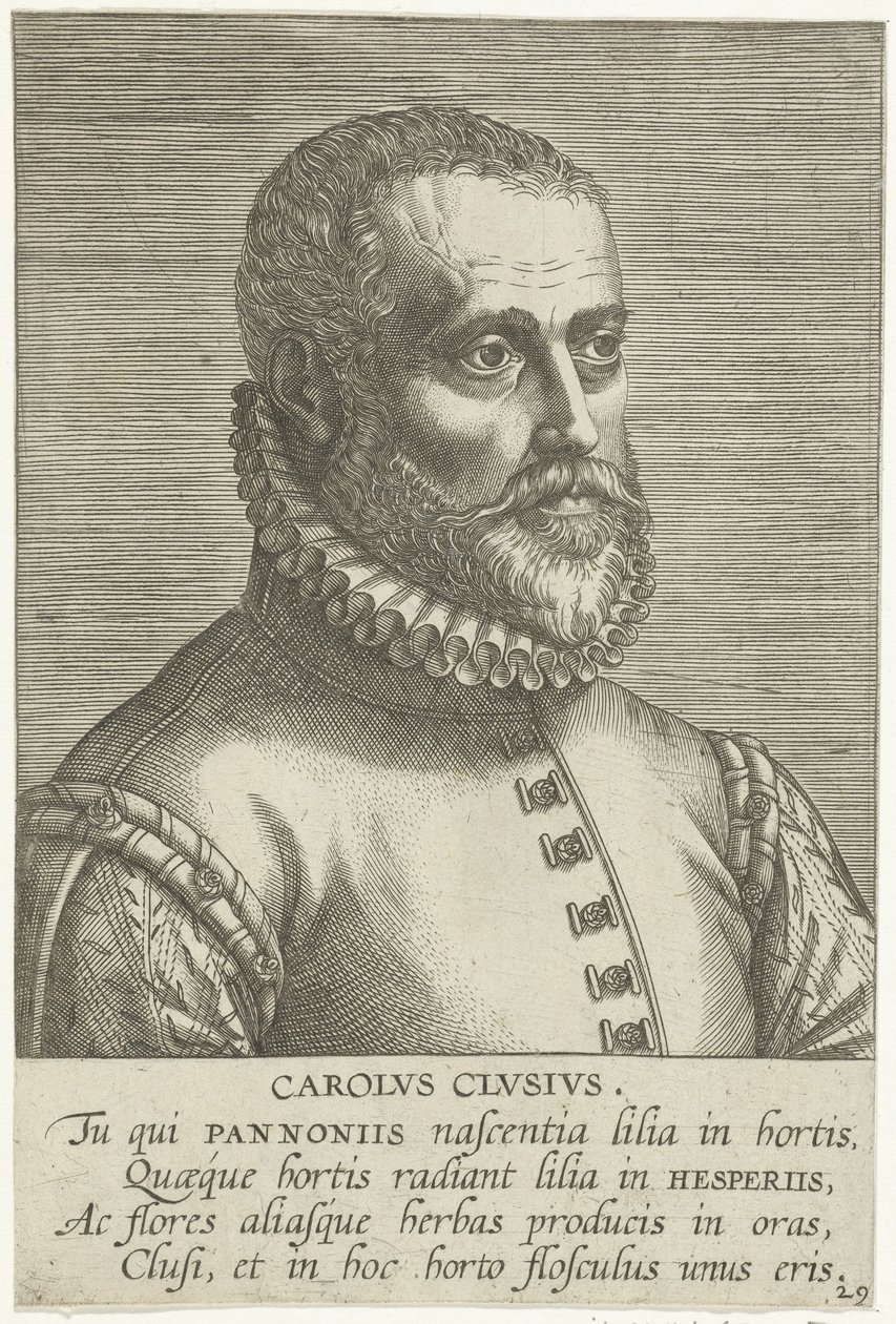 Retrato de Carolus Clusius de Philips Galle