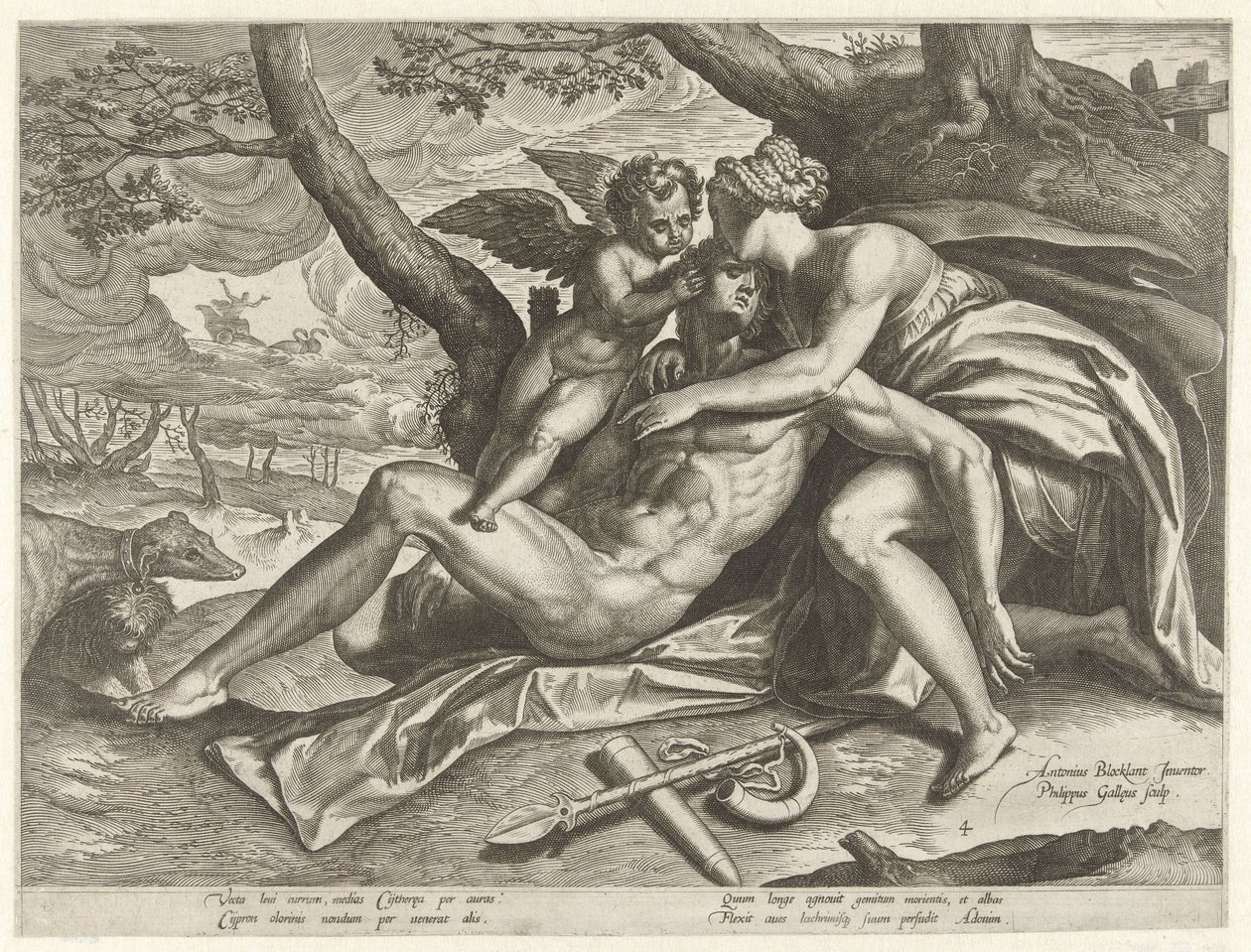 Vénus chora a morte de Adónis
A história de Adónis (título da série) de Philips Galle