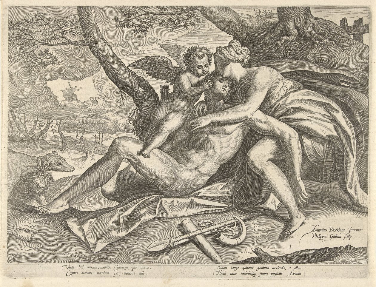 Vênus lamenta a morte de Adonis A História de Adonis (título da série) de Philips Galle