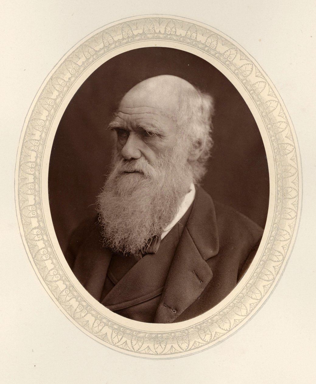 Retrato de Charles Darwin 1809-1882, 1877. de Photo studio Lock and Whitfield