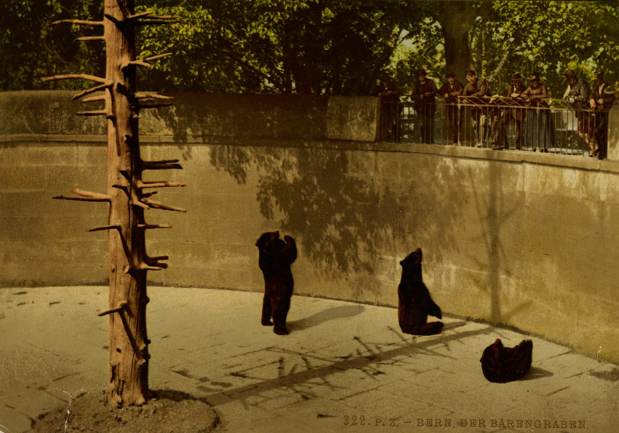 Berna. O poço dos ursos. de Photochrom Zürich