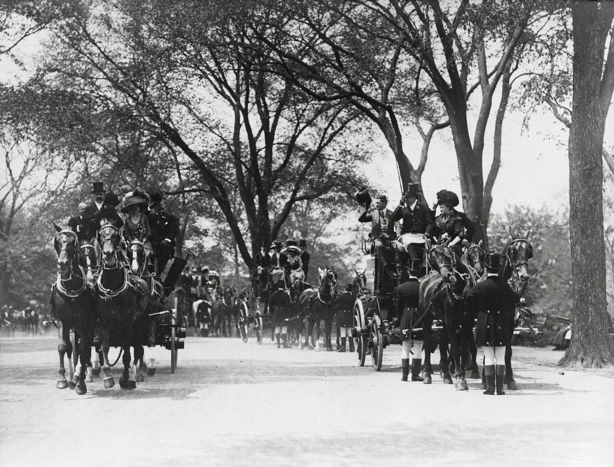 Coaching, Central Park (foto a p/b) de Photographer American