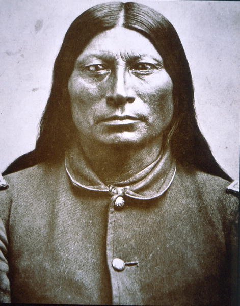 Nariz Afiado