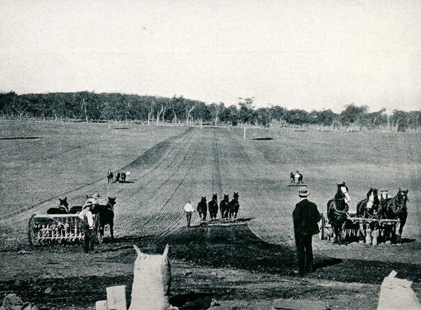 Aprender a perfurar e rolar no Dookie Agricultural College, Victoria, c.1900, de `Under the Southern Cross - Glimpses of Australia