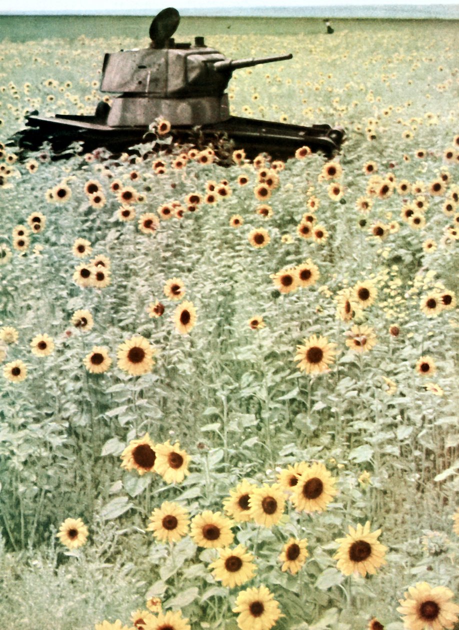 Operação Barbarossa de Photographer German