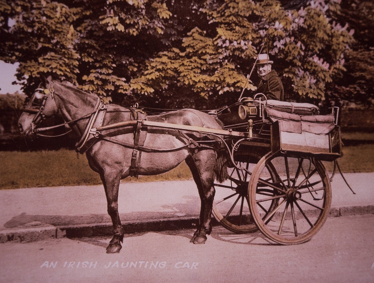 Um carro Jaunting irlandês, c.1910 (foto a p/b colorida à mão) de Photographer Irish
