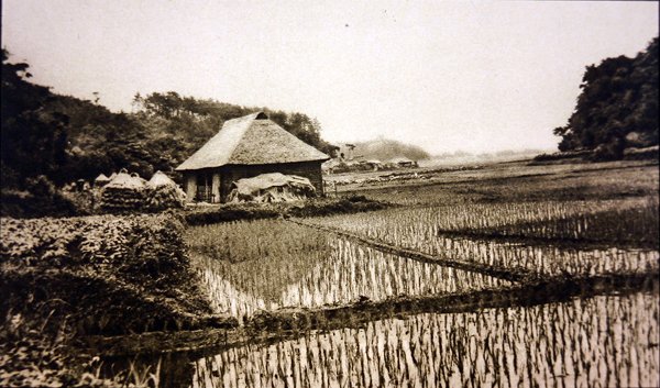 Campos de Arroz no Japão de Photographer Japanese