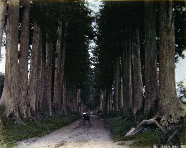 Rickshaw em uma estrada arborizada em Nikko, c.1900 (foto colorida) de Photographer Japanese