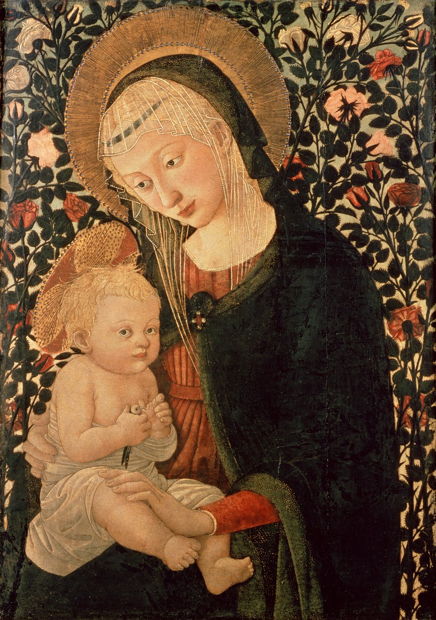 Imagem desconhecida de Pier Francesco Fiorentino