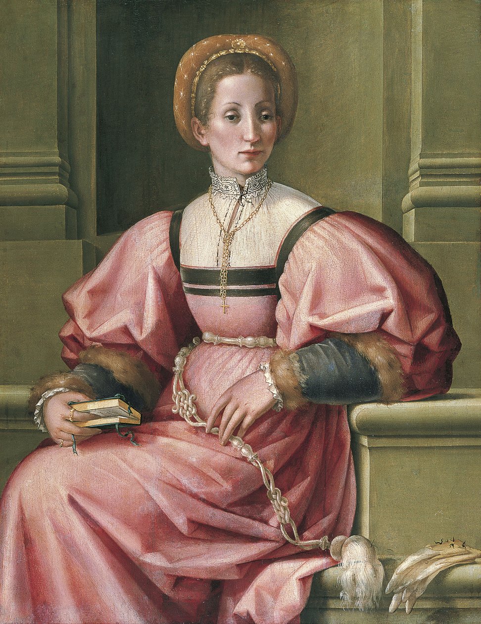 Retrato de uma senhora de Pier Francesco di Jacopo Foschi