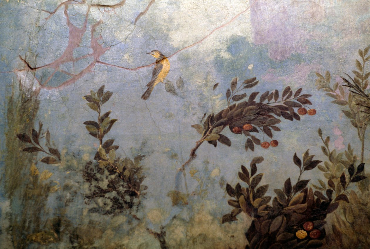 Pássaro, detalhe de um afresco retratando um jardim com árvores e pássaros, da Casa de Livia na colina Palatine, Roma, Itália. A civilização romana de Blaise Nicolas Le Sueur
