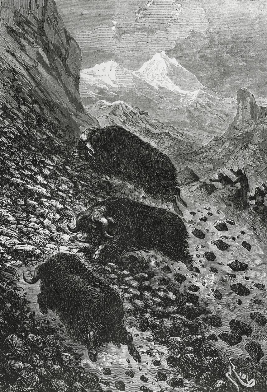 Bois almiscarados, cortados por Edouard Riou (1833-1900) de Blaise Nicolas Le Sueur
