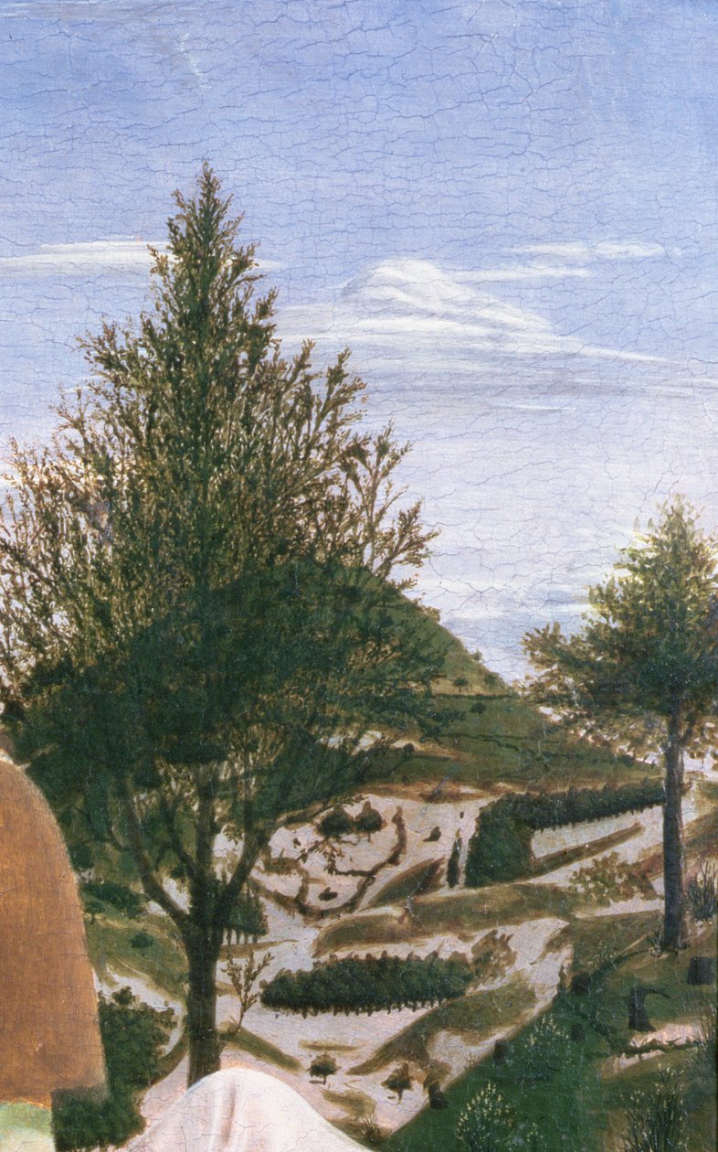 Batismo de Cristo, 1450 (têmpera no painel) (detalhe de 372) de Piero della Francesca