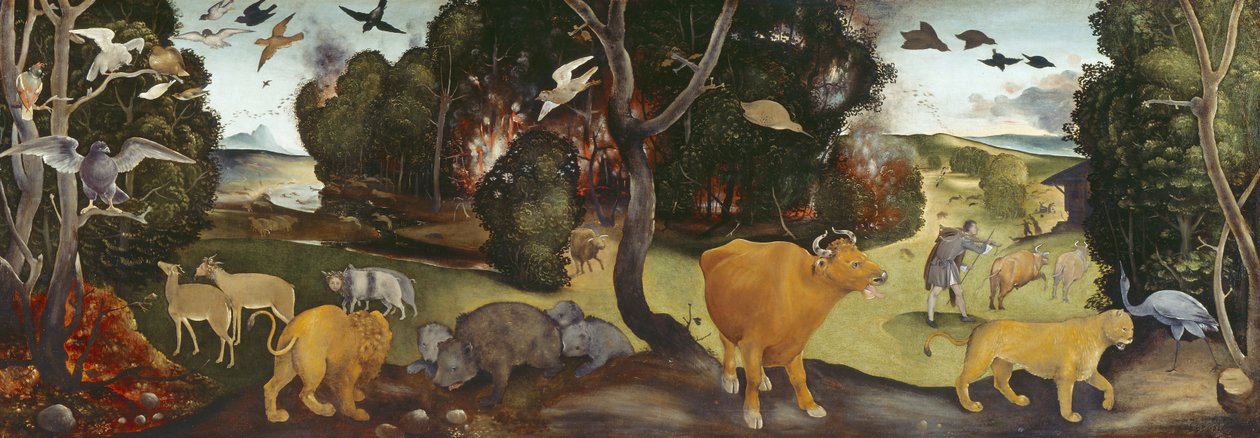 O incêndio florestal do século XV de Piero di Cosimo