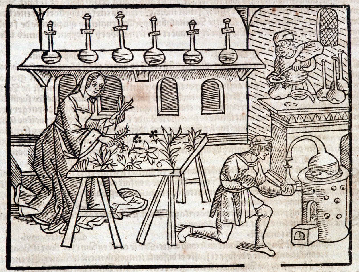Medicina através das plantas e suas virtudes - in "Des profits champêtres et ruraux" de Pierre de Crescent, Paris de Piero da Crescentino