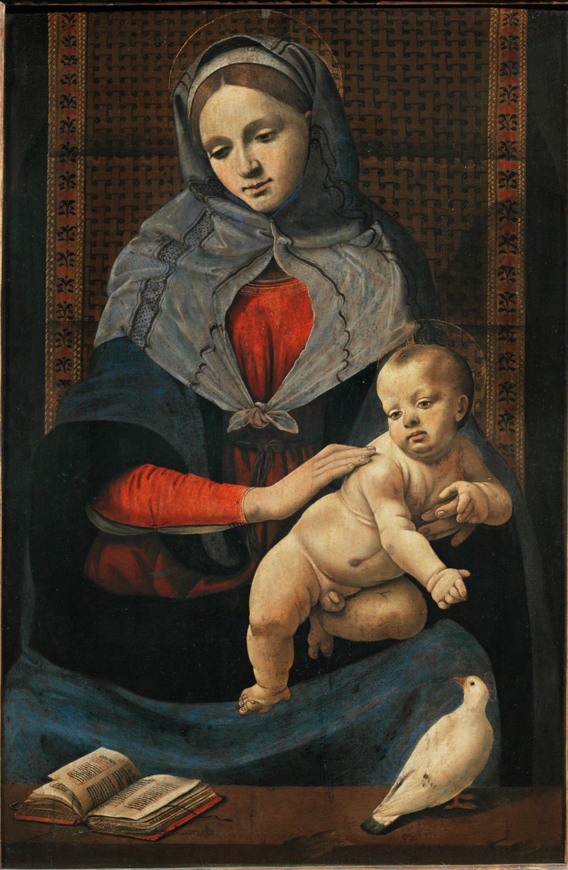 Madona e criança com uma pomba ... de Piero di Cosimo