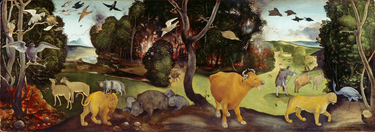 O Incêndio Florestal, c1505 de Piero di Cosimo