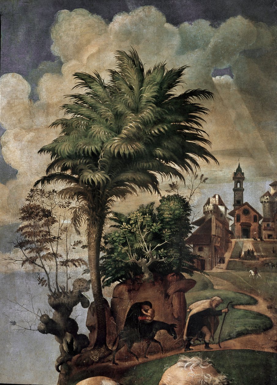 Virgem e Criança no trono rodeadas de santos, detalhe (óleo e tempera no painel, cerca de 1493) de Piero di Cosimo
