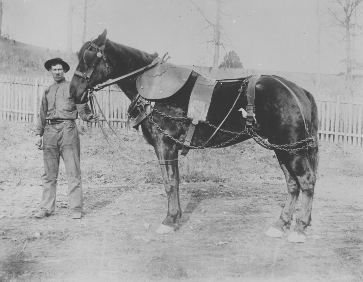 Donohoe (primeiro nome desconhecido) e seu cavalo de Pierre A. Gentieu