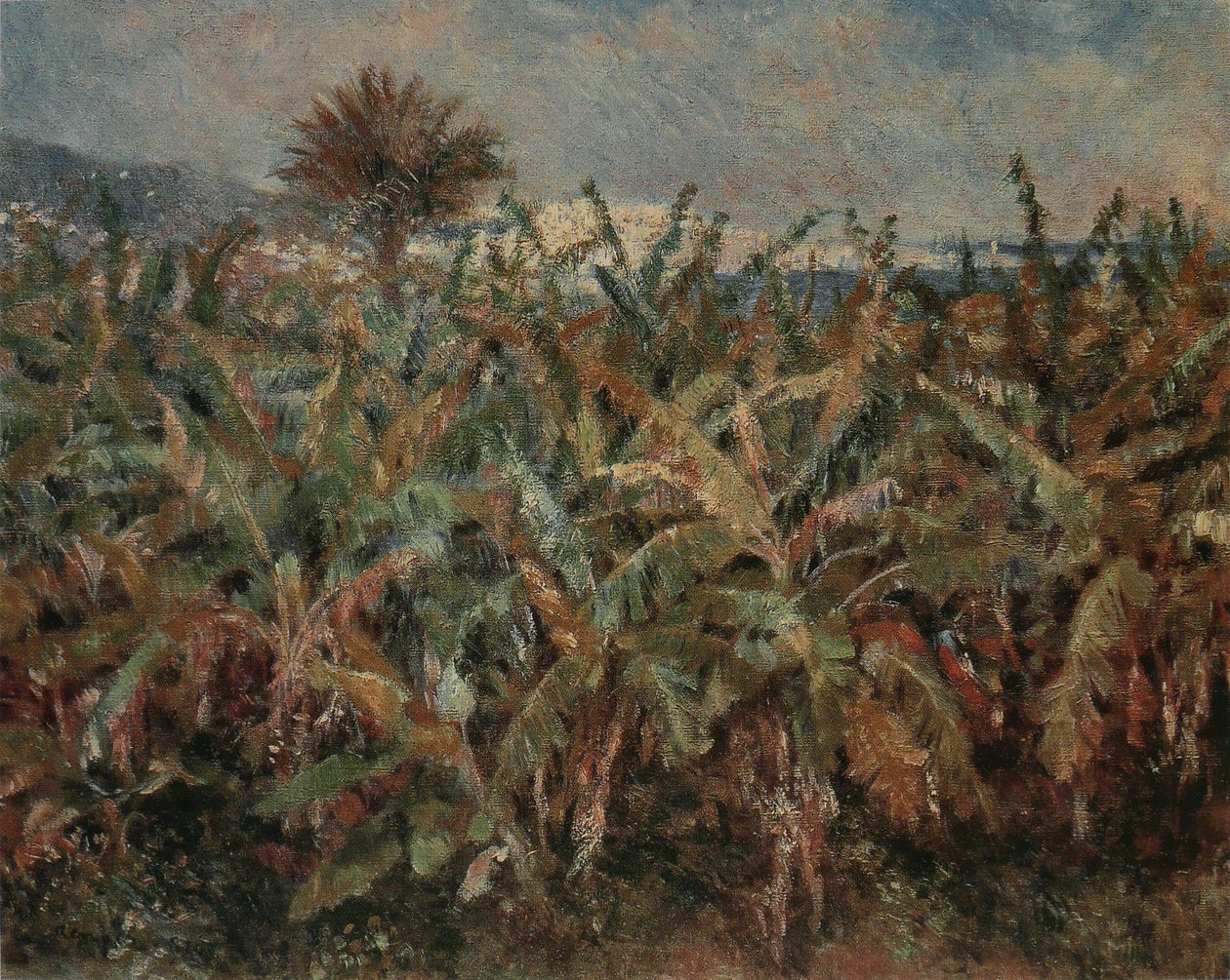 Campo de banana de Pierre Auguste Renoir