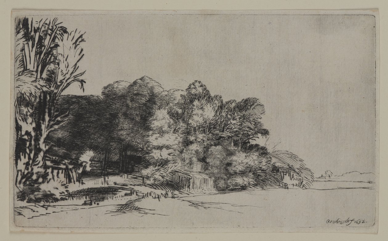 Moita de Árvores com Vista, 1652 (ponto de seca sobre papel) de Pierre Auguste Renoir