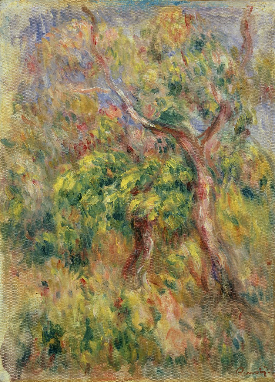 Árvores, 1915-16 de Pierre Auguste Renoir