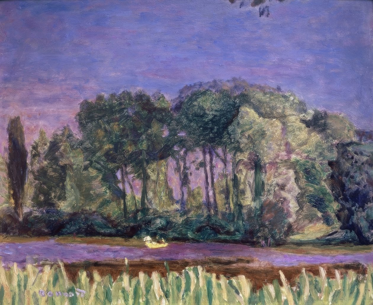 COSTA DO SENA. Künstler: PIERRE BONNARD. Lage: MUSEU DE ARTE MODERNA DA VILLA DE PARIS, FRANKREICH de Pierre Bonnard
