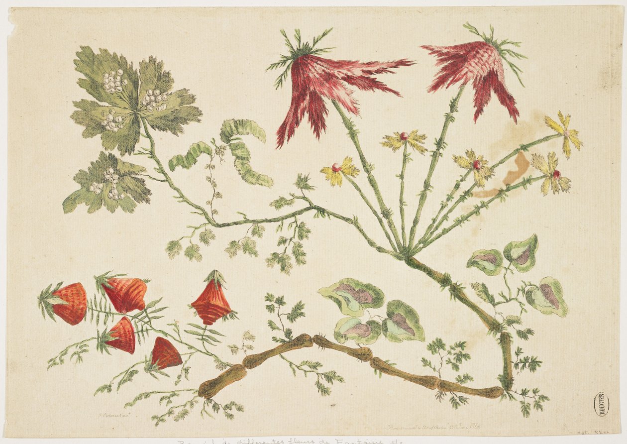 Ornamento, Chinoiserie, Flores, 30 de junho de 1760 (gravura colorida) de Pierre Charles Canot
