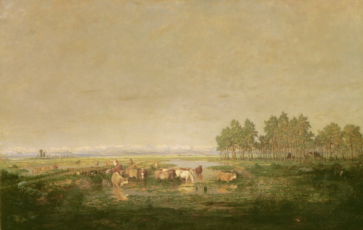 Marshland em Les Landes, c.1853 de Pierre Etienne Theodore Rousseau