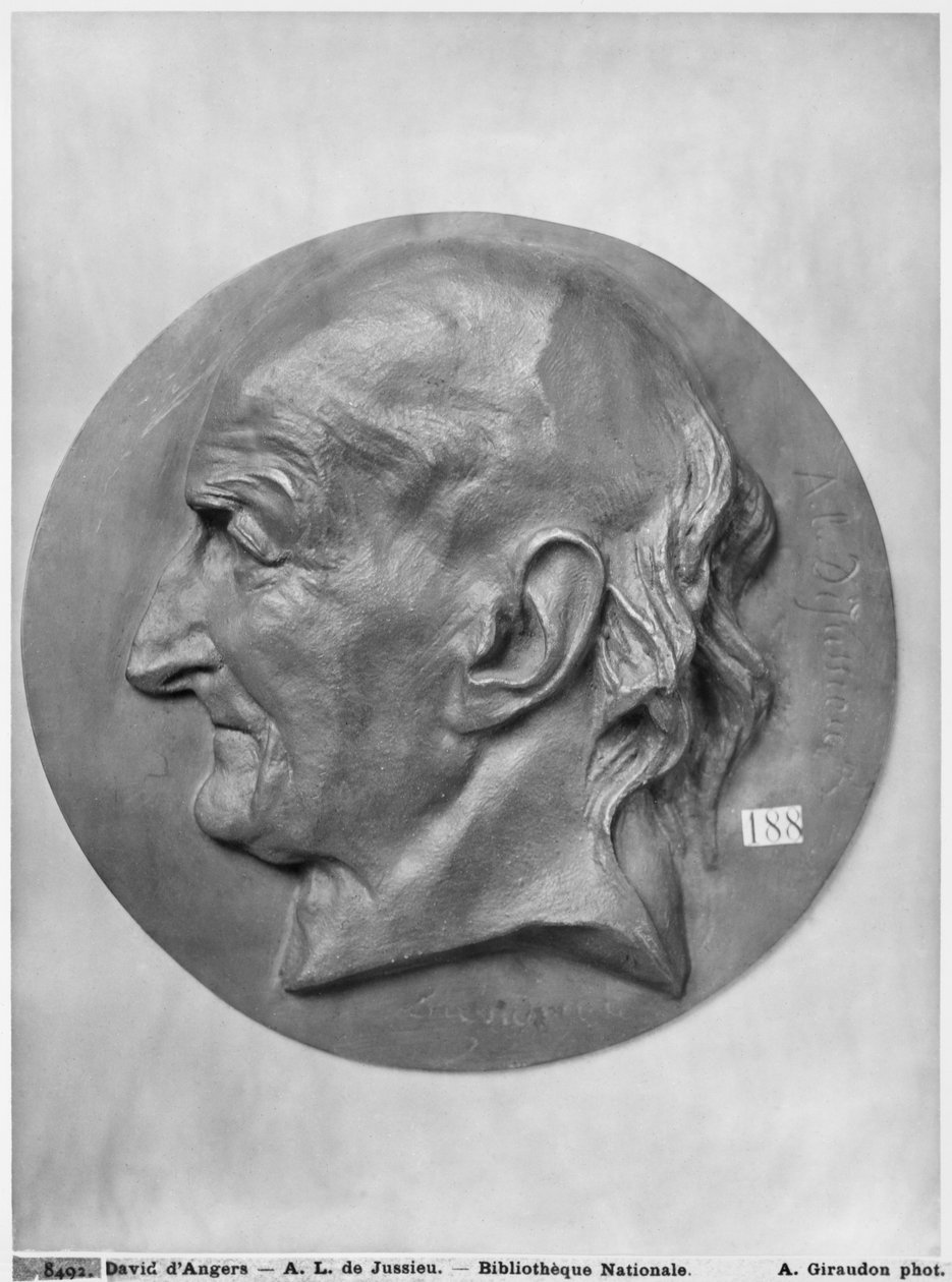 Antoine Laurent de Jussieu (bronze) de Pierre Jean David d