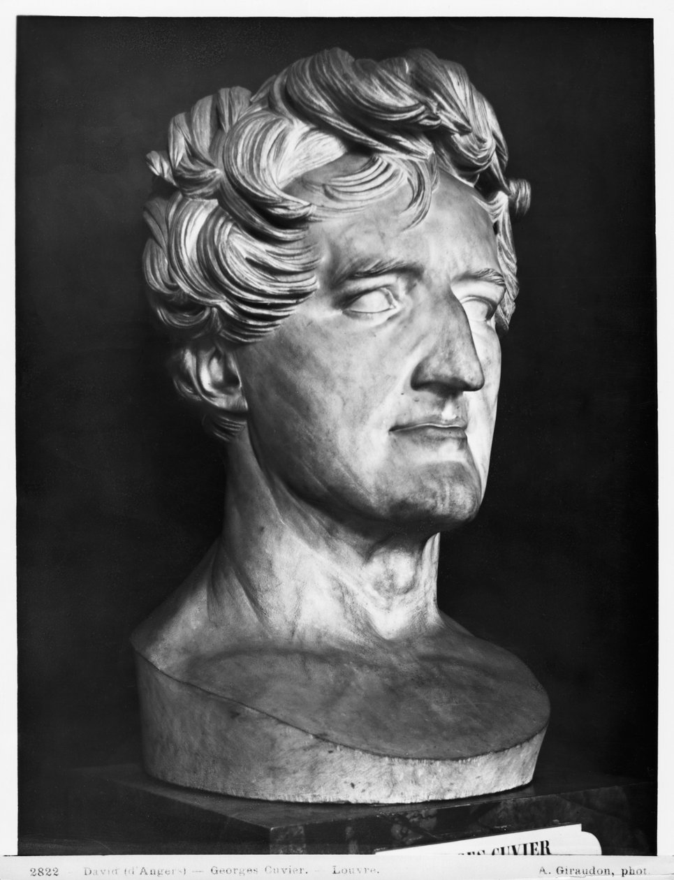 Georges Cuvier, 1833 (mármore) de Pierre Jean David d