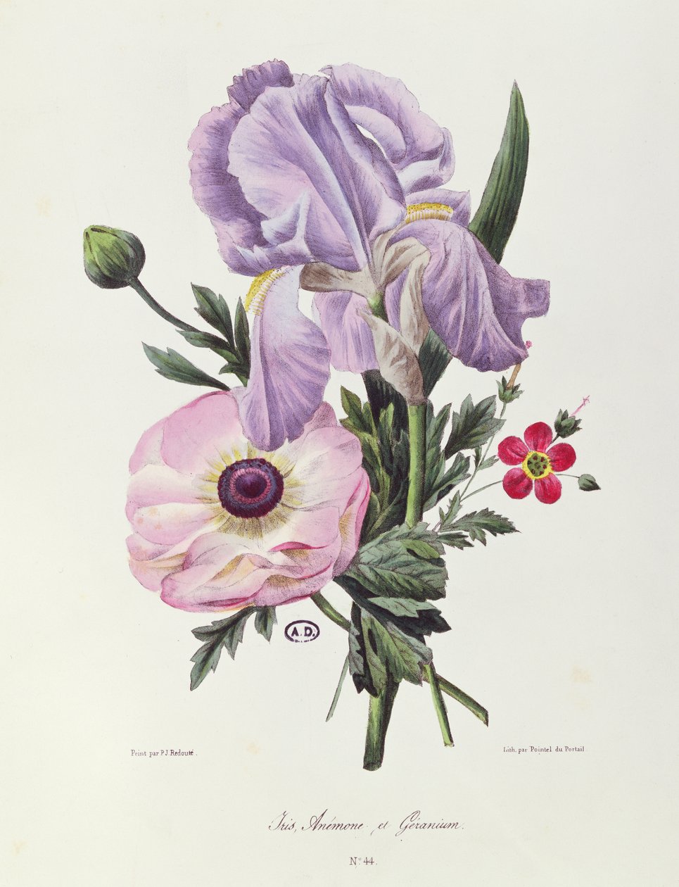 Íris, anêmona e gerânio, gravada por Pointel du Portail, c.1830 de Pierre Joseph Redouté