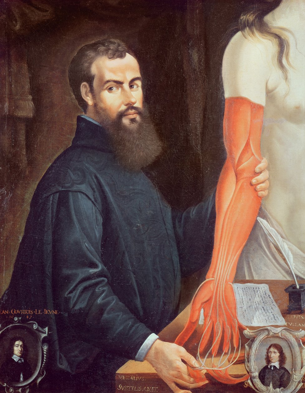Andreas Vesalius (1514-64) de Pierre Poncet