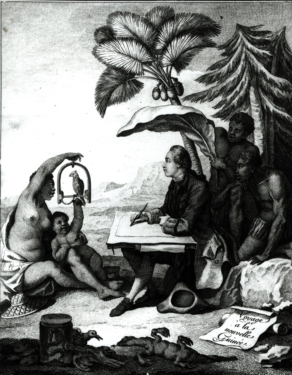 Pierre Sonnerat Desenhando um Pássaro, de &39;Viagem à Nova Guiné&39;, gravado por Marie Therese Martinet (n.1731) 1776 de Pierre Sonnerat