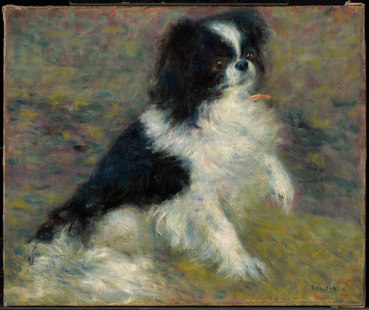 Tama, o cão japonês de Pierre-Auguste Renoir
