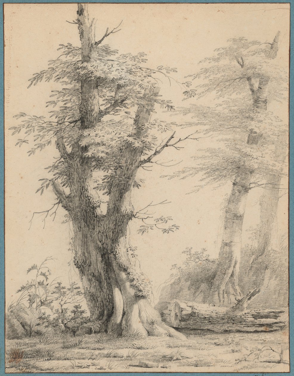 Um grupo de árvores de Pierre-Henri de Valenciennes