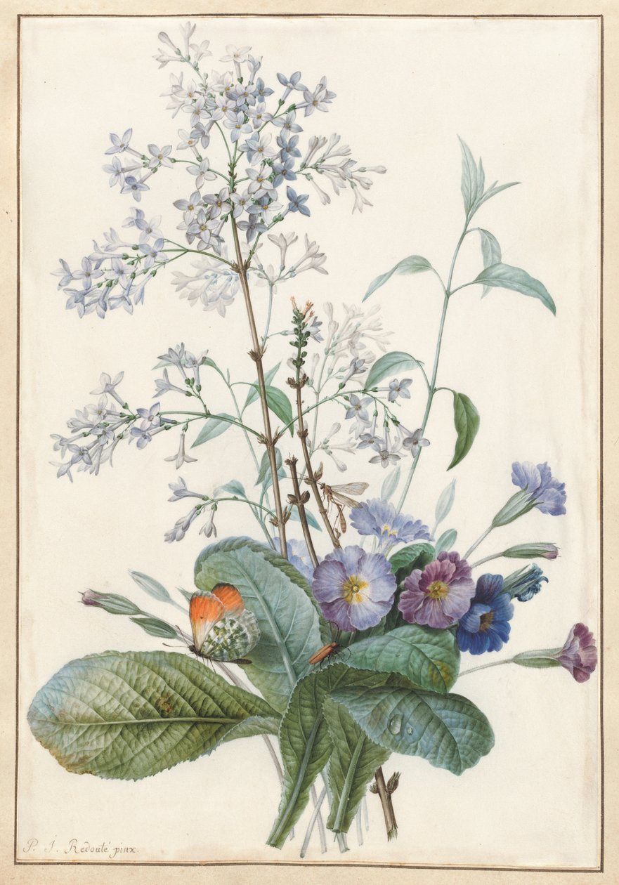 Um buquê de flores com insetos de Pierre Joseph Redouté