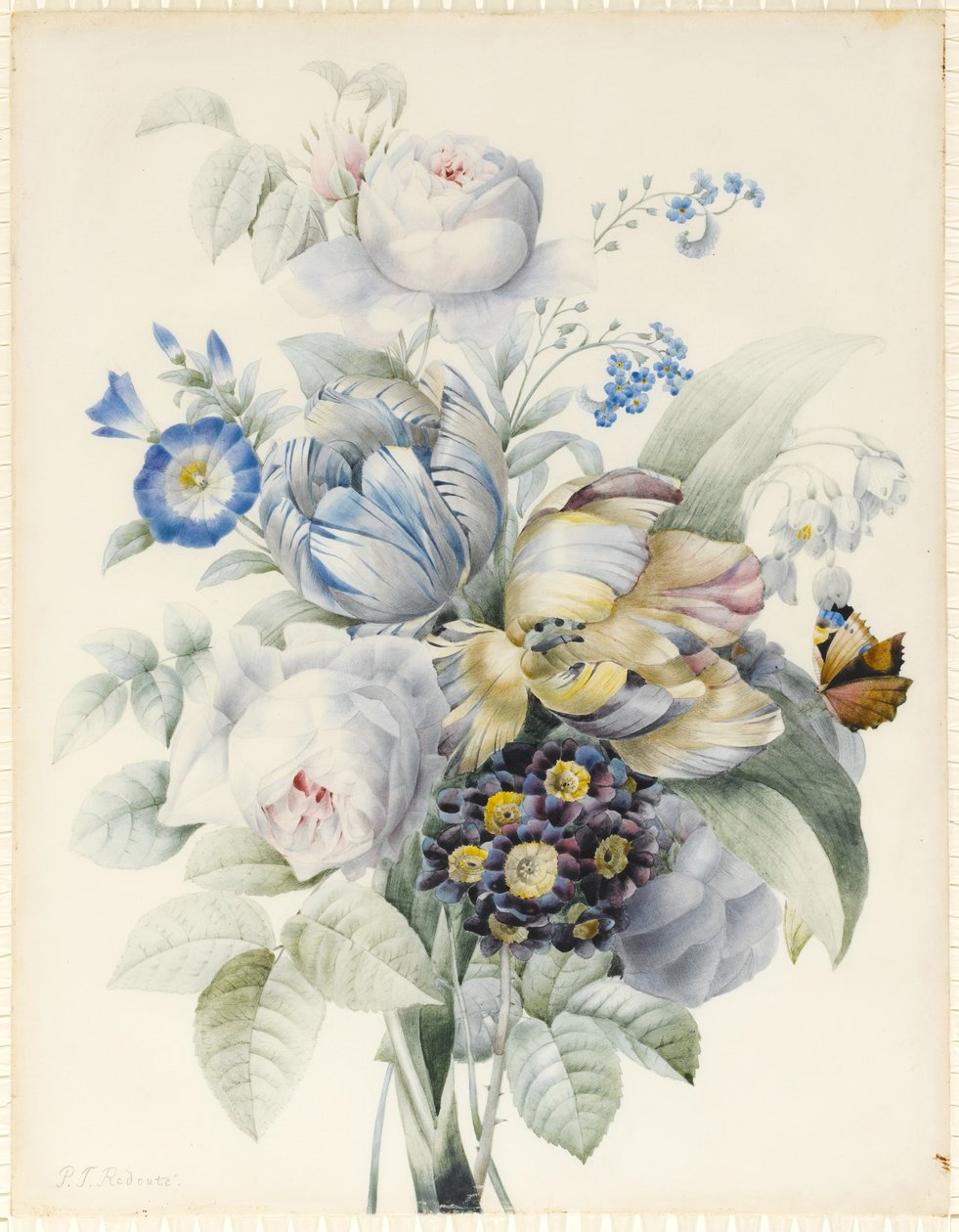 Um ramo de flores, incluindo rosas, tulipas papagaio, Miosótis, flocos de neve, auricula e Ipomoea com uma borboleta imaginária (grafite e wc com goma arábica und bodycolour sobre grafite em pergaminho) de Pierre Joseph Redouté