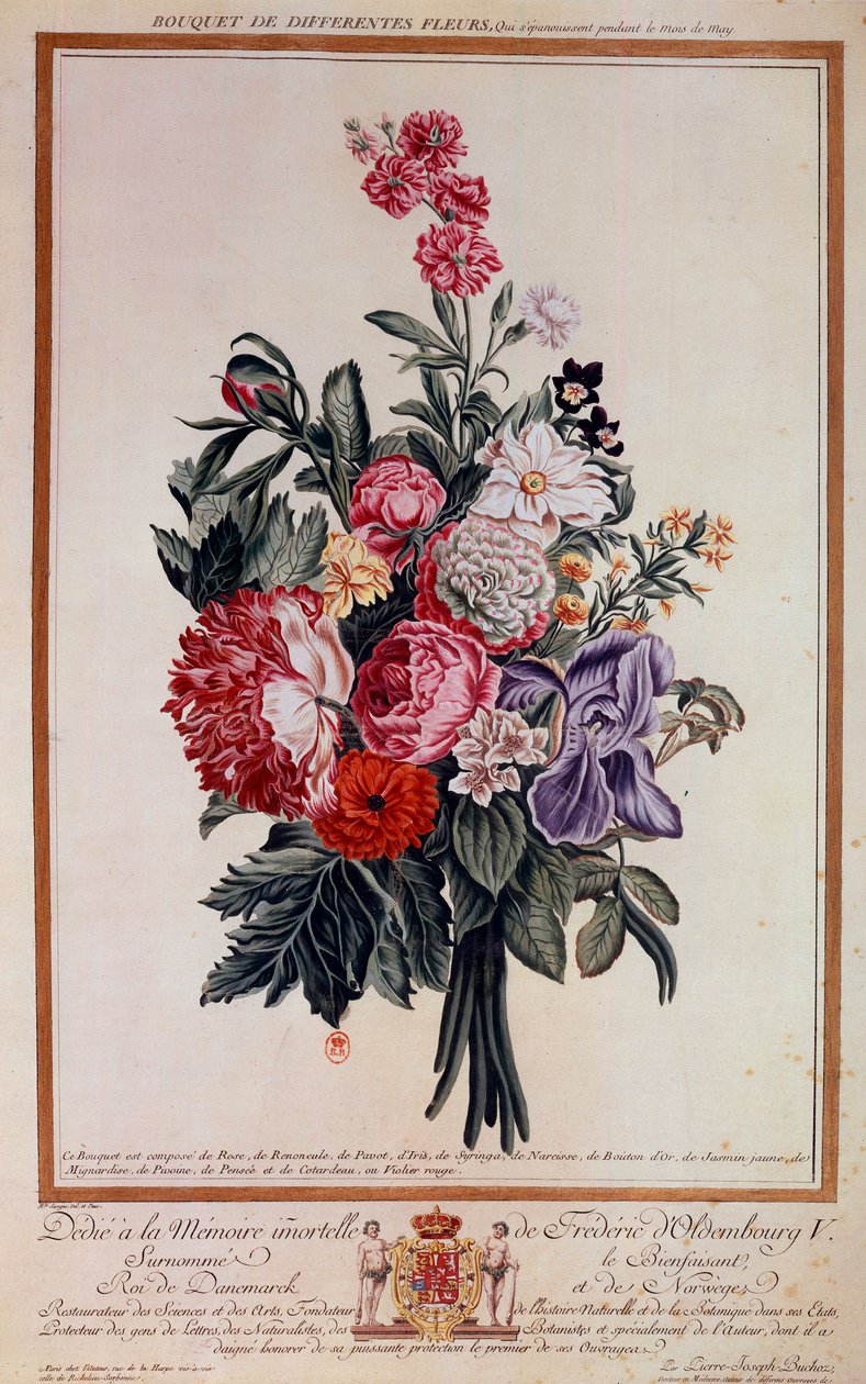 Bouquet de flores melange Litografia de Pierre Joseph de Pierre Joseph Buchoz